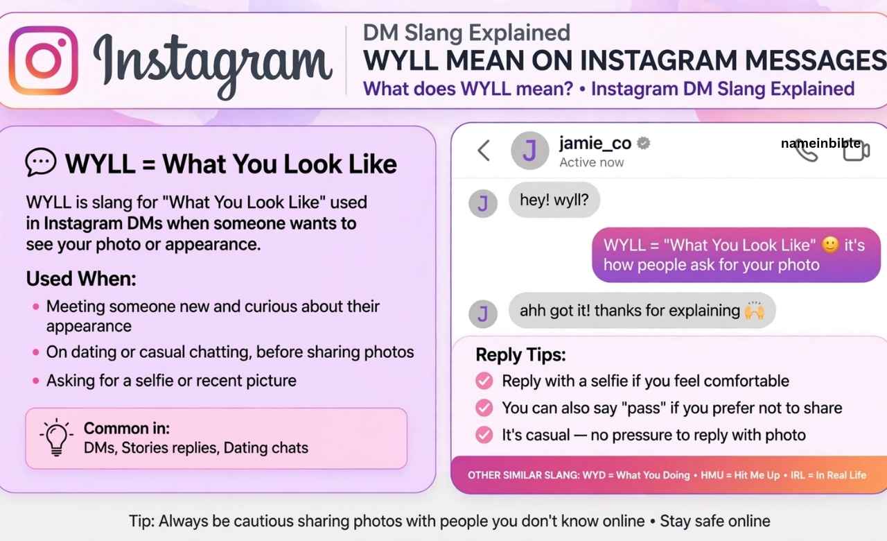 WYLL Mean on Instagram Messages
