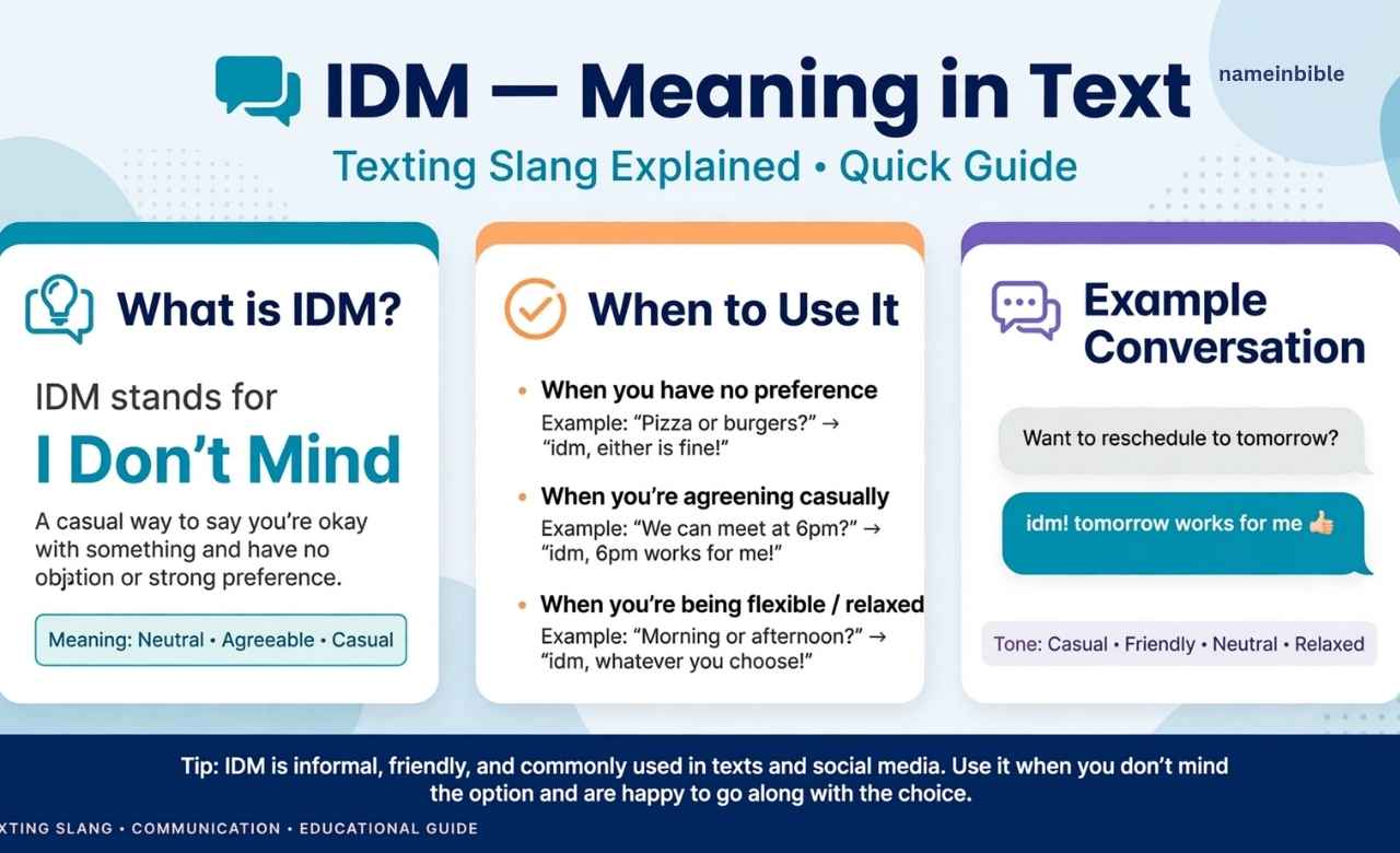 IDM Meaning in Text
